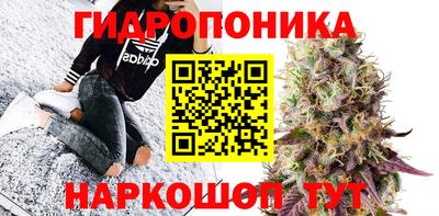 индика Комсомольск-на-Амуре